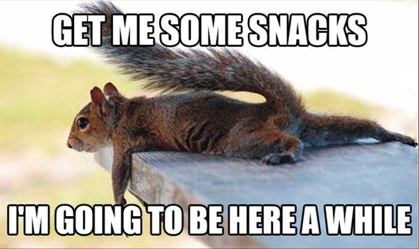 minibrownies's tweet image. What I felt when I was studying for exams at @MaryBaldwinColl #FightingSquirrel #BoldyBaldwinWoman #Class2012