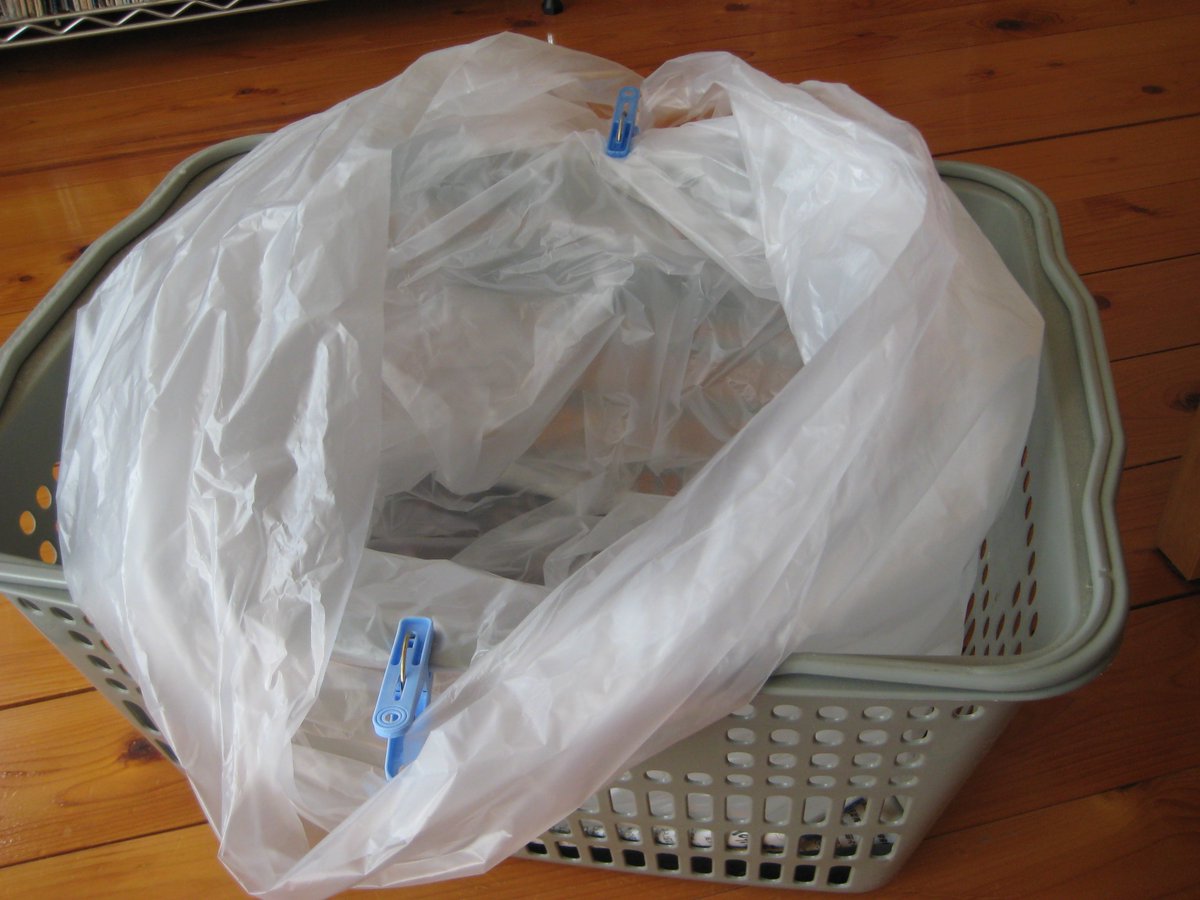 あふらん Afran ポリタンクが無い場合はかごの底に新聞紙を敷き ごみ袋を二重にしてかご に入れます そこに水を入れたら口をゴムでとめるか 洗濯ばさみでとめて運びます かごが無かったらダンボール箱でも可能です ゴミ袋は利用価値が大です