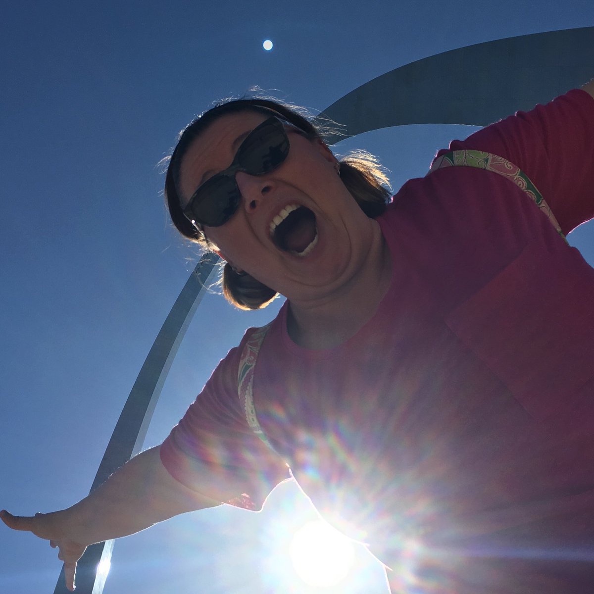 chelebele015's tweet photo. Best photobomb ever! #stlouisarch #couldnthavetimeditbetterifitried https://t.co/Hclq66kVYl