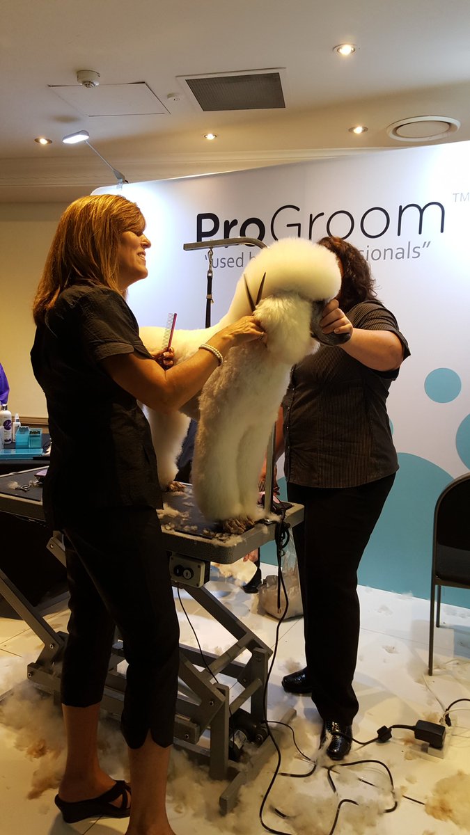 #pgroomer Demo with snap on combs and scissors to improve angulation