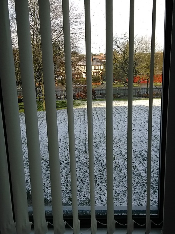 WolvesApartment's tweet photo. The view from my window this morning #snow https://t.co/4rtUfTdYAM