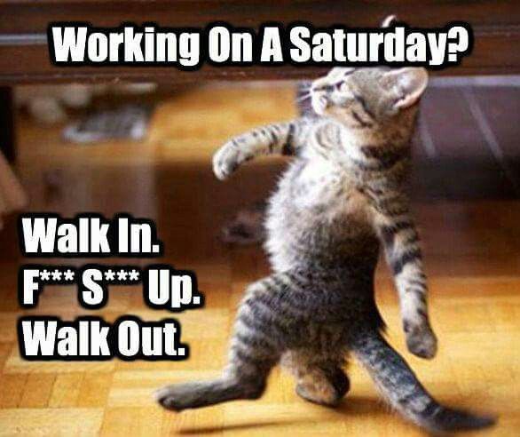 Saturday evening posts стивен доханос. On saturday. Working monday. Working on saturday. Working saturday.