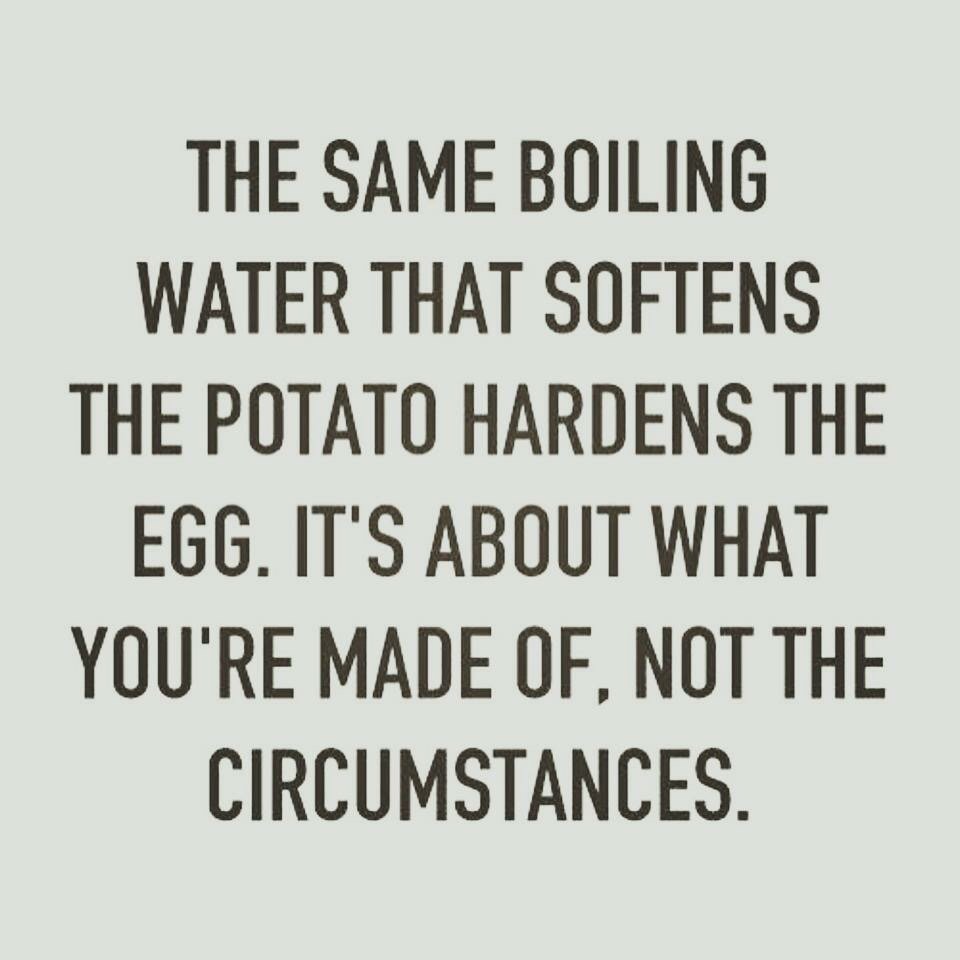 StaffanMattson's tweet photo. https://t.co/c5awejG9Pw