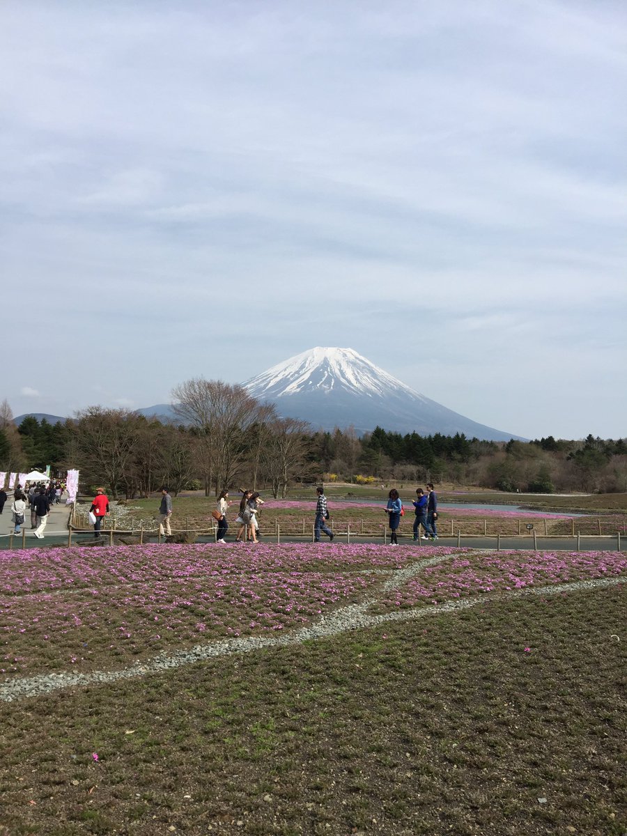 春名久史 (@harunahisashi) / Posts / X