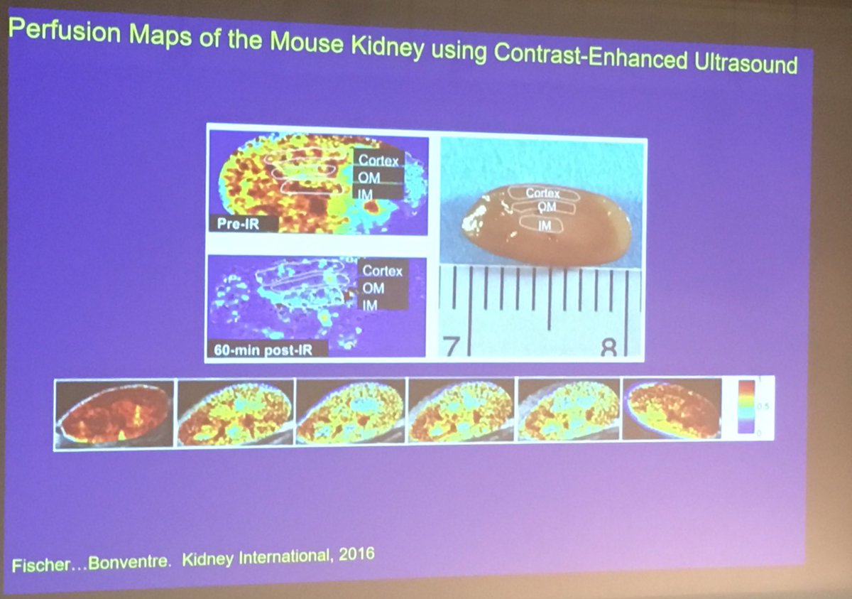 Damian Fogarty tweet media