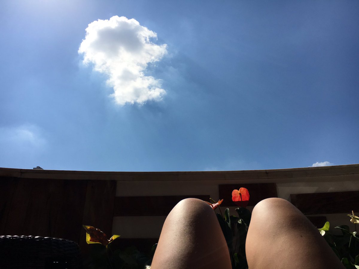 tatagulin's tweet photo. #hotdogsorlegs https://t.co/NPHSkGeISI