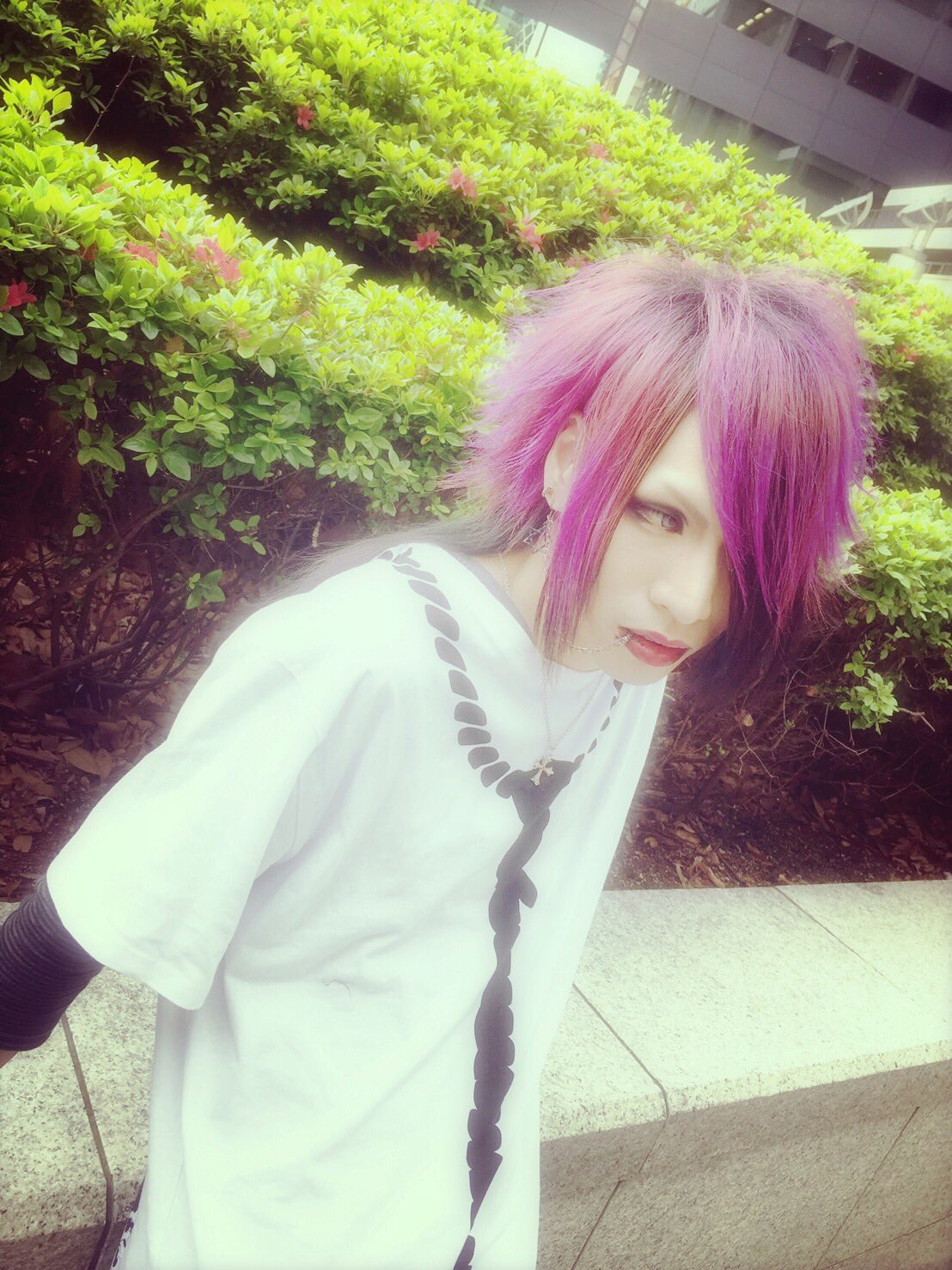 Avelcain 禅 05月25日 水 通販限定超豪華限定生産盤 全曲音源集 六道輪廻 親愛なる従者たちへ 価 格 13 800 税抜 Cd Dvd Goods 撮り下ろし業パンフレット Box仕様 グッズ 業デザイン ロング丈tシャツ T Co Uecphgdvth Twitter
