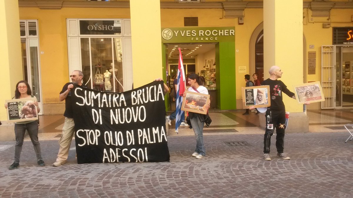 earth_riot's tweet photo. Ora a #Bologna: #STOPOdP contro il mercato dell'#oliodipalma #siamotuttiterrestri #solidarietà a #Sumatra https://t.co/TvHvUgVfSn