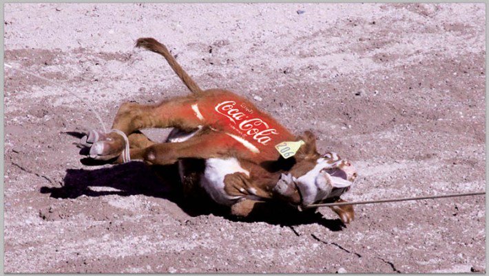 don't buy any Coca-Cola products because they support animal Cruelty #OpRodeo #OpCocaCola #BoycottTheRodeo