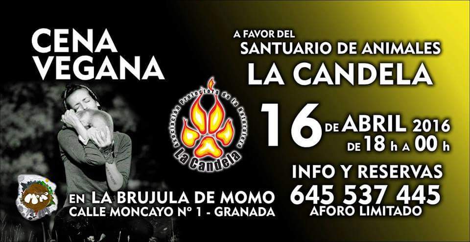 ProyectoPaxtu's tweet photo. Gran plan solidario para esta noche! Cena vegana en La Brújula de Momo a favor del Santuario de Animales La Candela. https://t.co/7UoX1G49yX
