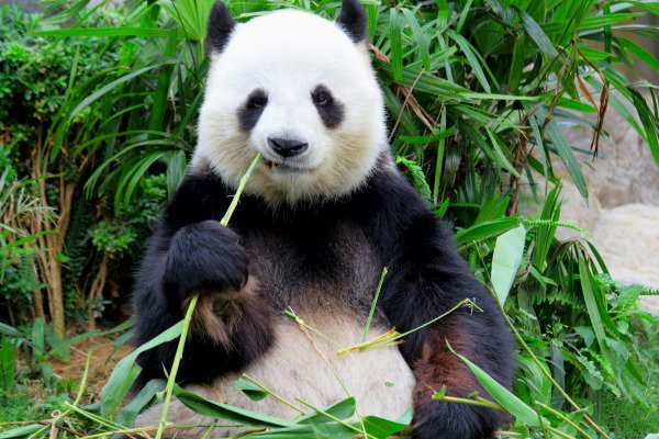 Top travel photos of the week stuff.co.nz/travel/themes/…