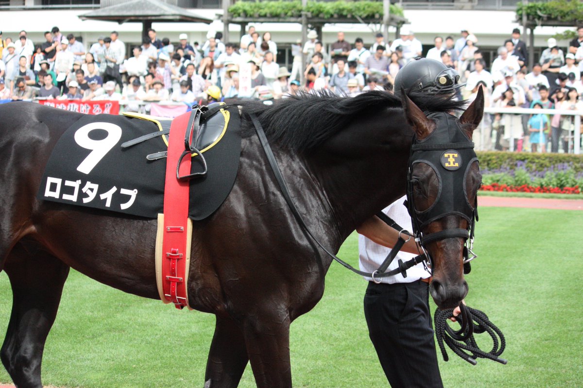 rainbow5368806's tweet photo. ロゴタイプ。父が勝てなかったG1を勝ったのが印象的。写真は、２歳時のクローバー賞。
 #すきなんだよなあ皐月賞馬 https://t.co/TINpE2G3Hk