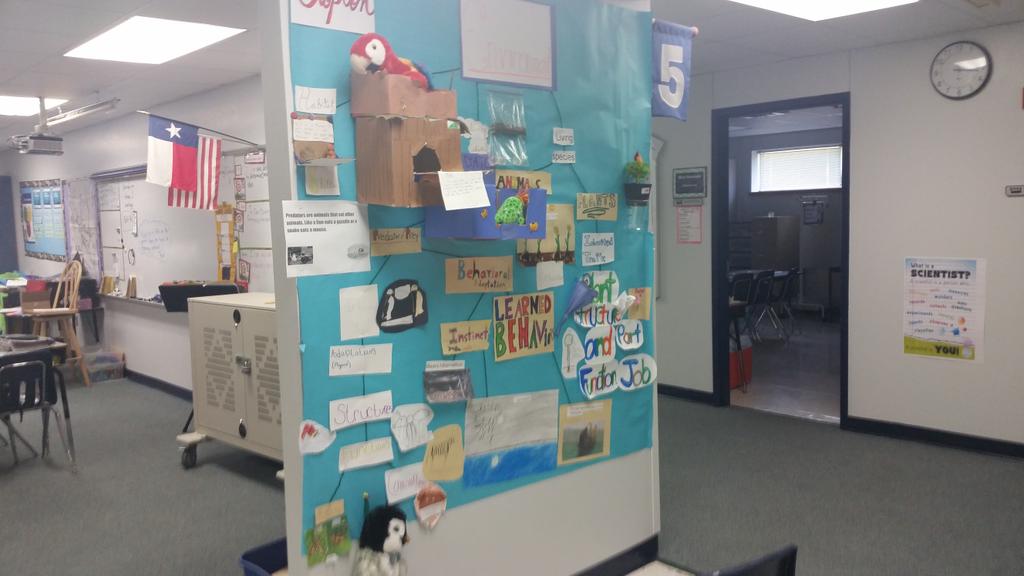 MsClopton's tweet photo. Interactive word wall about environments #ttexanslearn https://t.co/O0EDWOwkEv