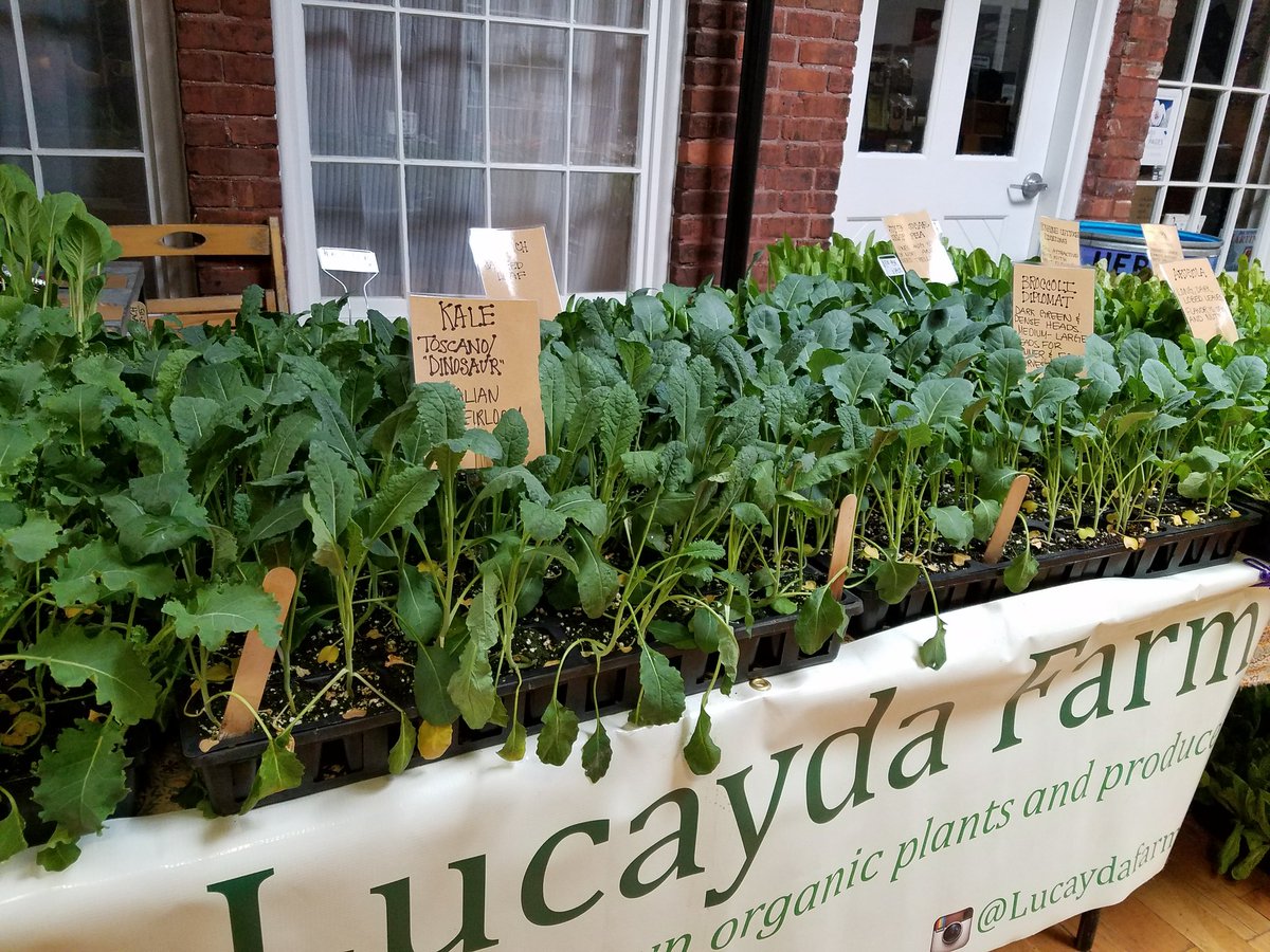 RhodeIslandRoot's tweet image. All set up at @ArtisteVillage. Also our plants will be available at @cluckri  after 2 today. Here 9-1pm. Come say hi