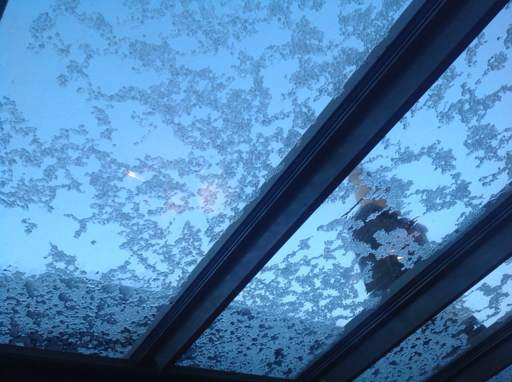 holyroodmandy's tweet photo. Spent all day gardening & now looking at the snow & ice on my kitchen window #springtimeinscotland https://t.co/05z7GbL89o