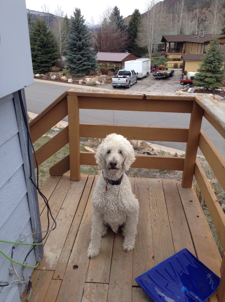 scottnmiller's tweet image. 2016 April snowstorm, Gypsum style. @VailDaily @VailDailyDogs