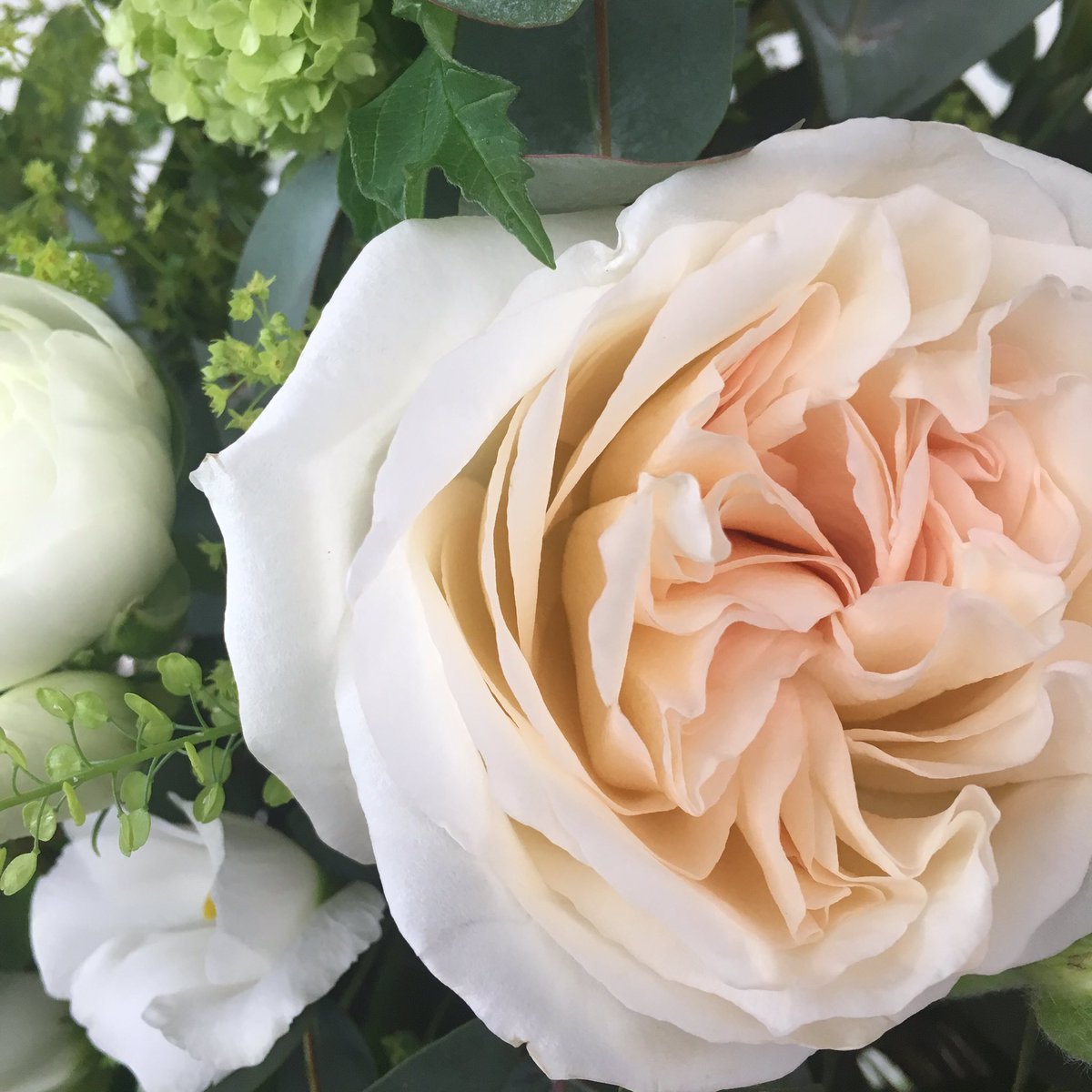 @bridesupnorth <a href="/DentonWeddings/">Denton Hall Weddings</a> <a href="/BoxTreeEvents/">Box Tree Events</a> <a href="/ambienceleeds/">Lindsay Chalfont</a> <a href="/ByPhylecia/">Phylecia Sutherland</a>  looking forward to seeing you tomorrow X