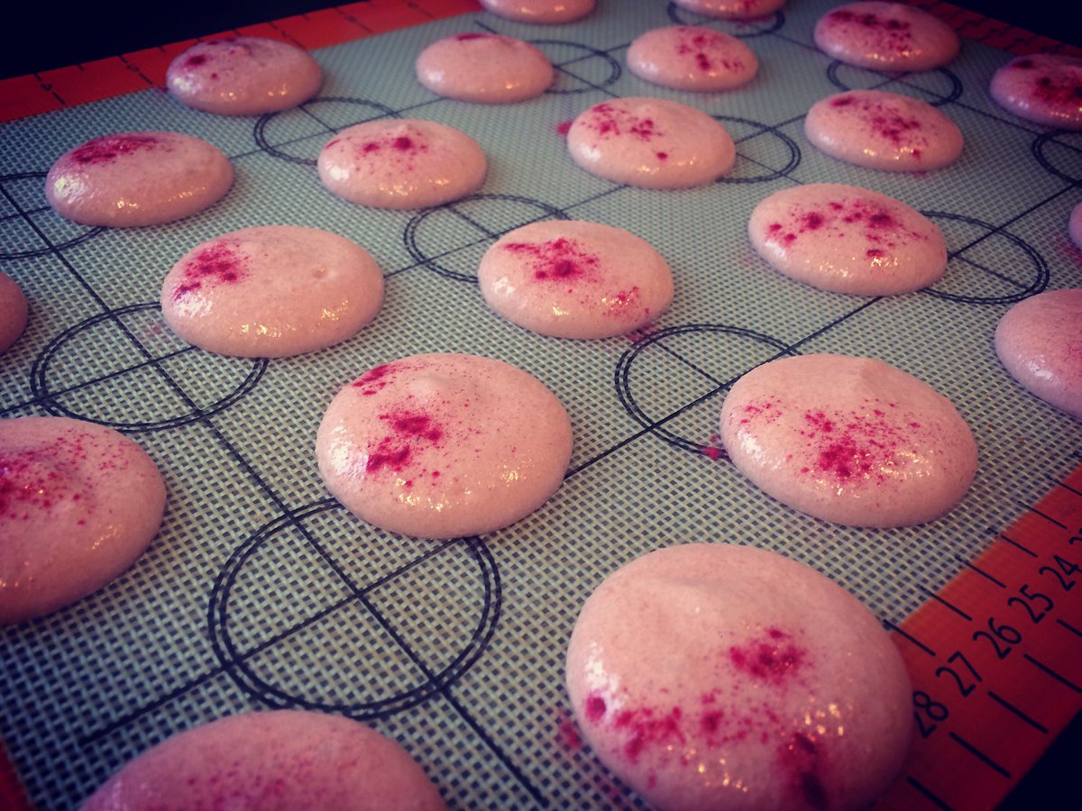 Ugne_Bakes's tweet image. Just chillin....☺️ resting... Waiting... #saturdaybaking #macarons #raspberrymacarons
