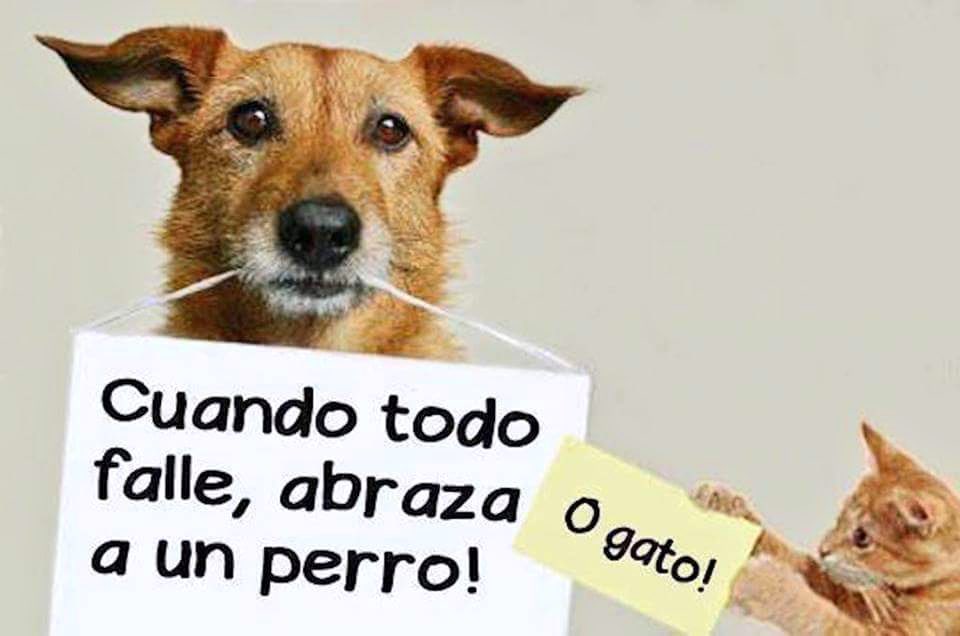 ViaDeEscaP's tweet photo. ¡Excelente fin de semana para todos! 😉 https://t.co/esOyfxqwAj