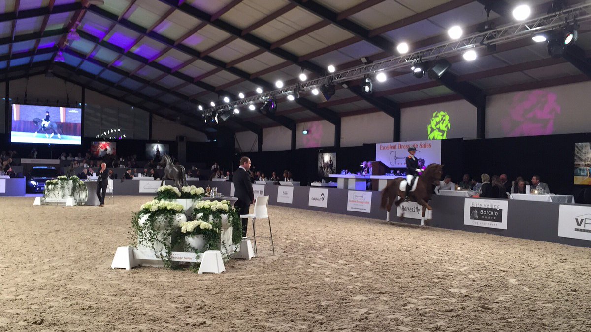 Anton van Limpt tweet media