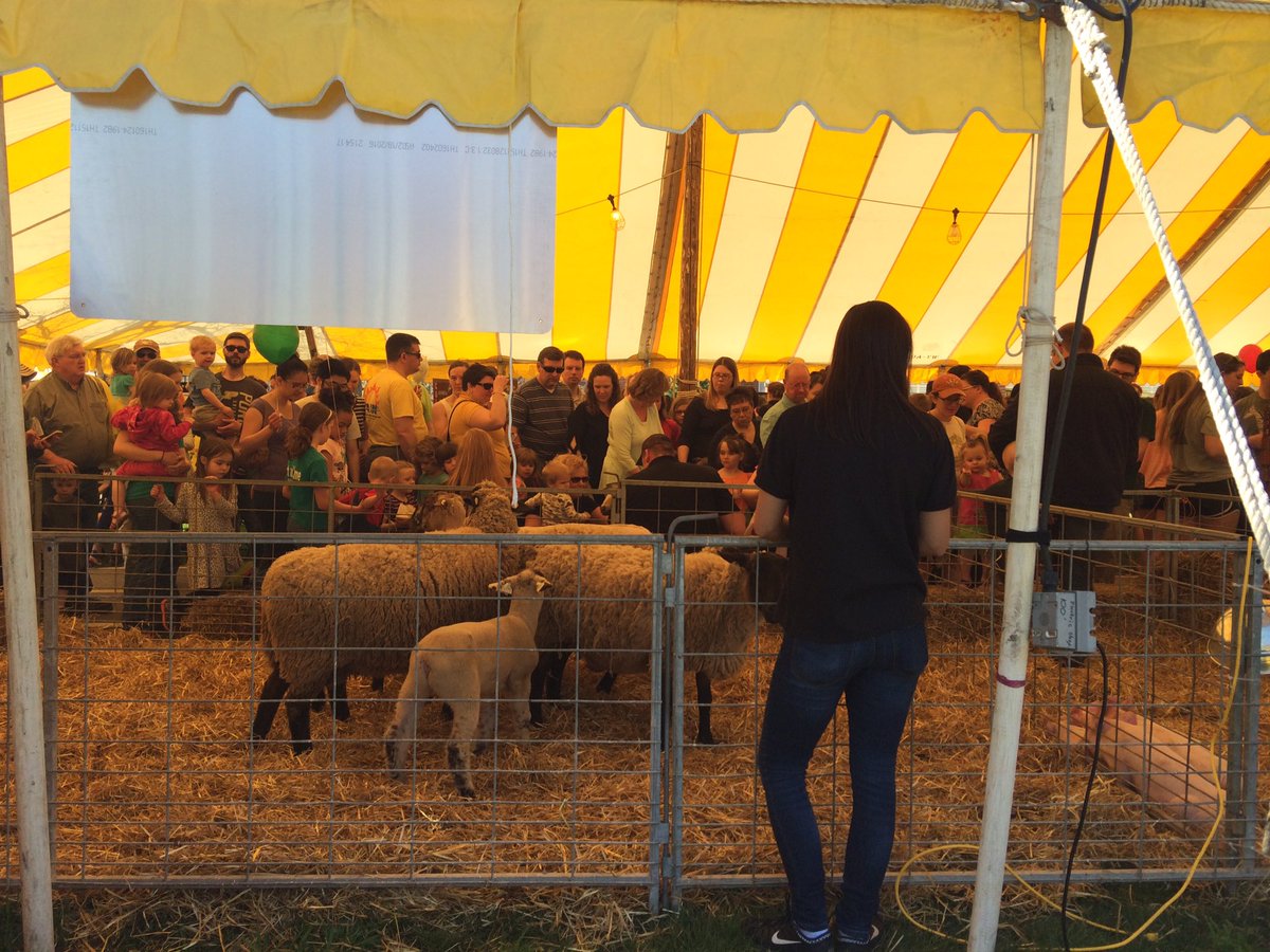 realscientists's tweet photo. Also available at #puspringfest is cow milking and lamb frolicking https://t.co/xgwXm7R0or