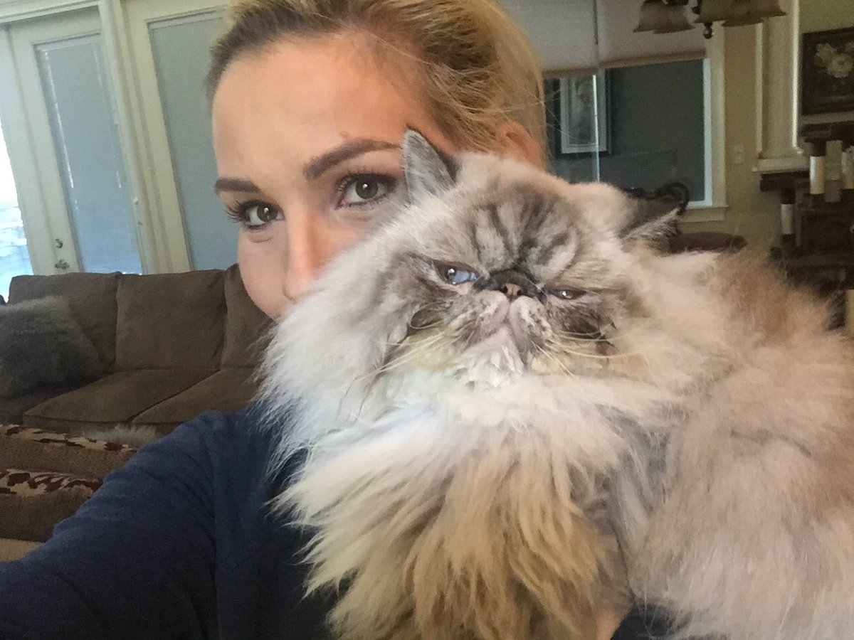 NatbyNature's tweet photo. It's #Caturday already?! You know Makaveli is ready for some serious caviar and catnip ... 🐈🐟❤️🔮 https://t.co/DEe1CpQmaA