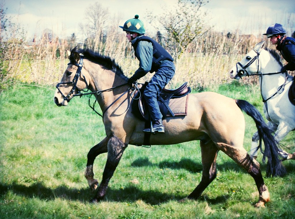 Declan the Connemara and @TBealby at today's pony racing rally at North Lodge