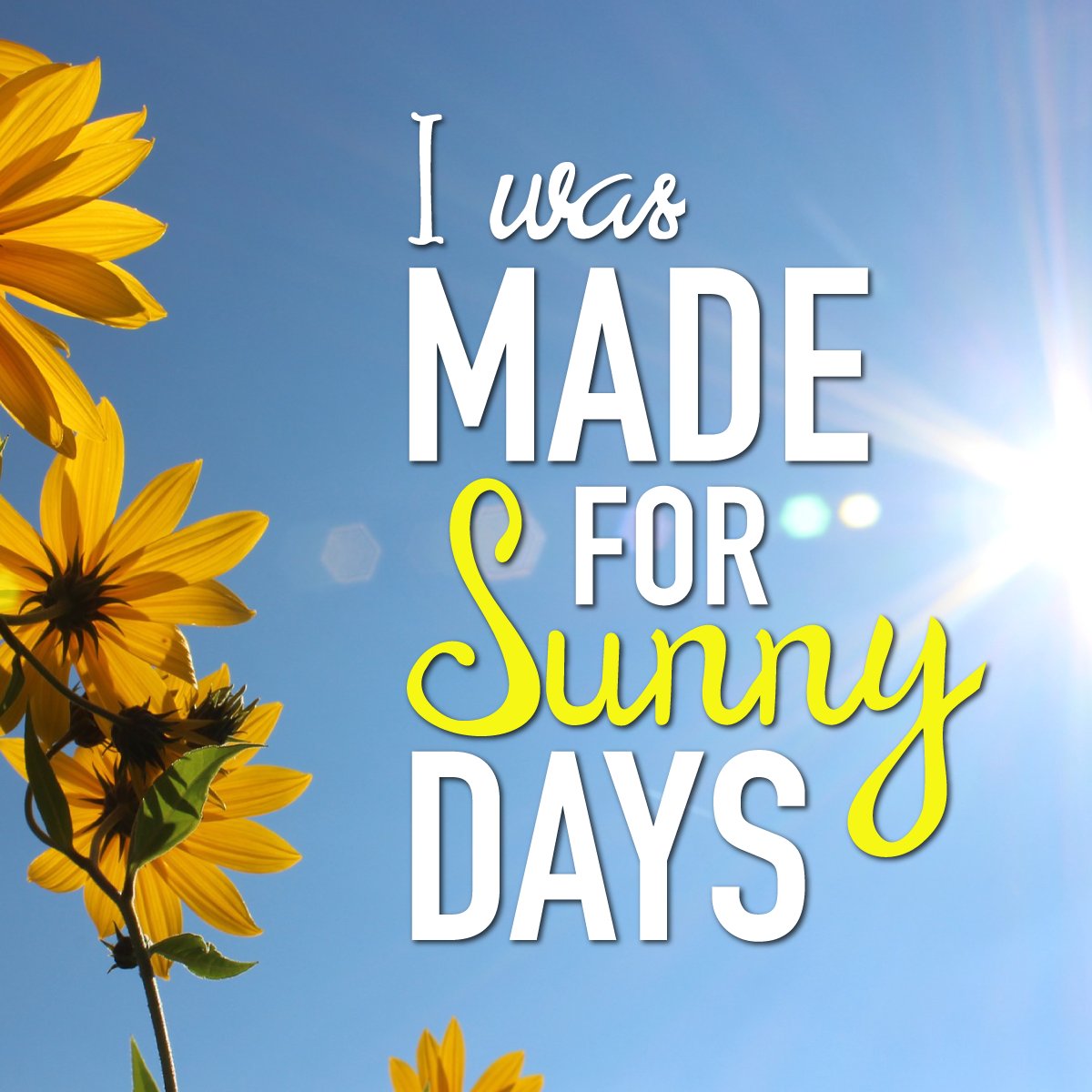 ShopComfortMe's tweet photo. Sunny days are the best days! Stop in today to see our new arrivals! #SpringTime #shoplocal #hydeparkchicago #spr... https://t.co/S0N8gsY8TQ