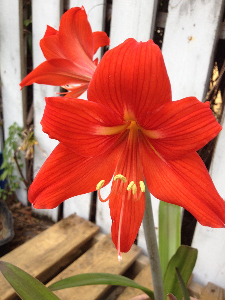 Welcome Home Bistro (@personalchefc) on Twitter photo 