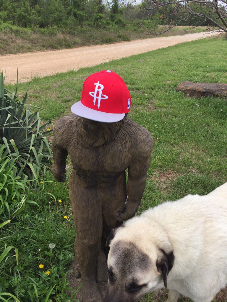 stoutpee's tweet photo. Squatch wants a first round upset! #houvgs https://t.co/SlQnjXqpPe
