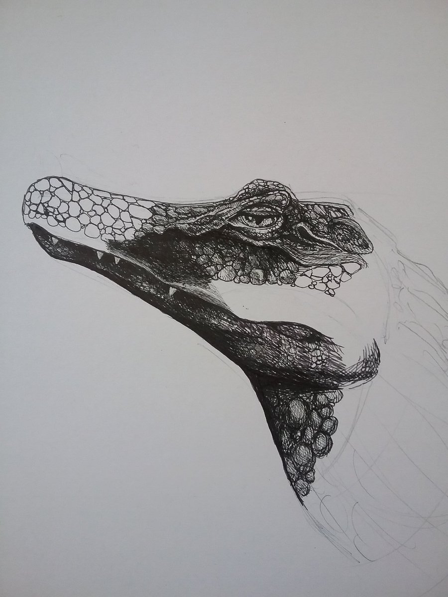 ahs_animation's tweet photo. Caiman sketch in progress..... https://t.co/OcjJ5AZkra