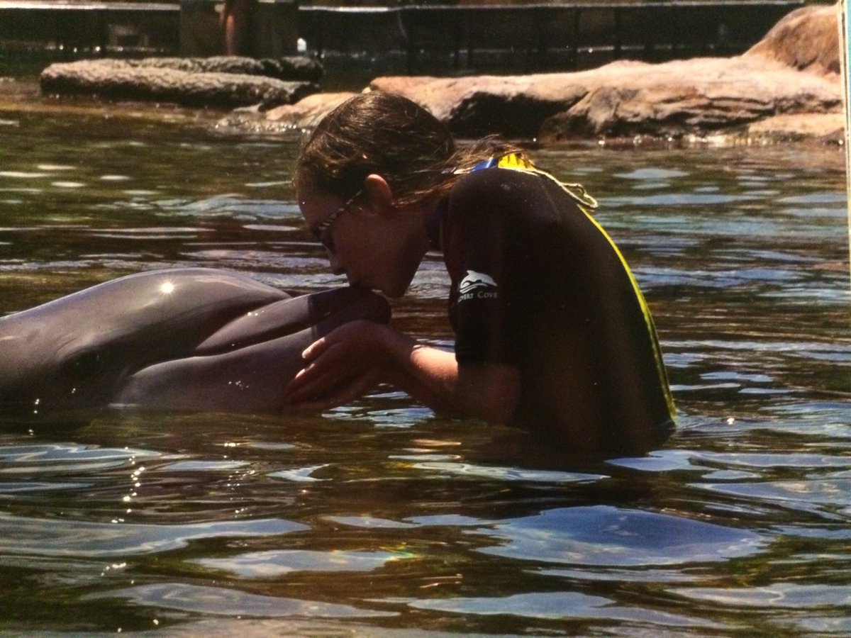 HandsFeet's tweet photo. Swimming with the Dolphins at Discovery Cove #sweepstakes #UnleashAdventure https://t.co/ebLIc2TzEg