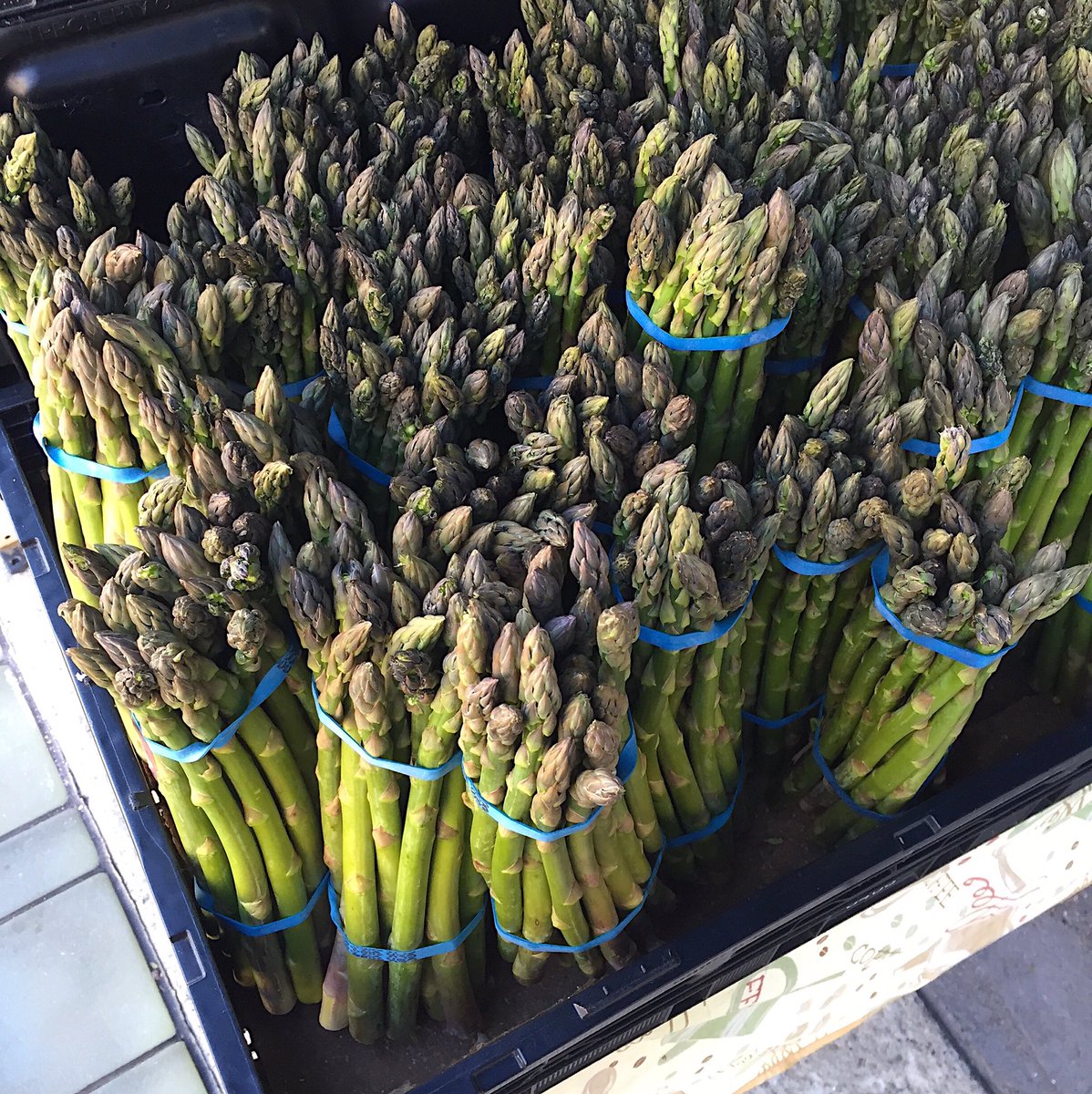 MisterJius's tweet image. Saturdays at the market. #springincalifornia #misterjius #wegotjiu