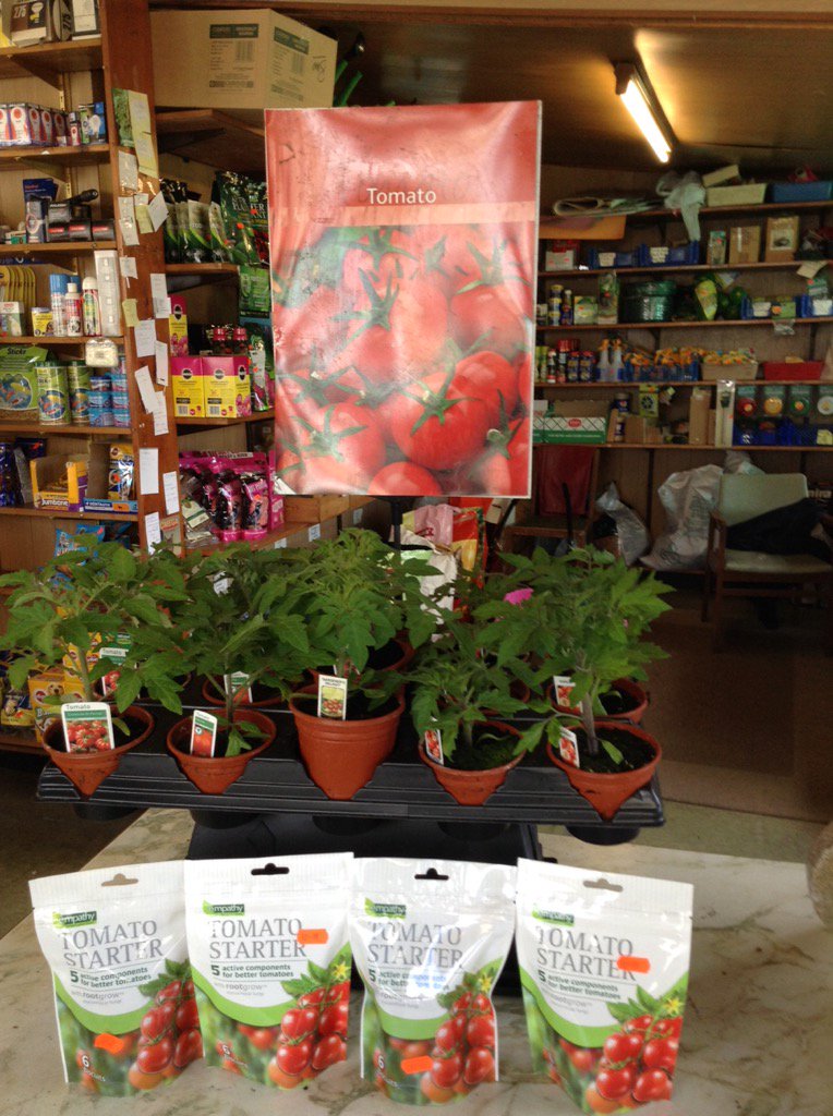 Tomatoe plants and biscuits now ready