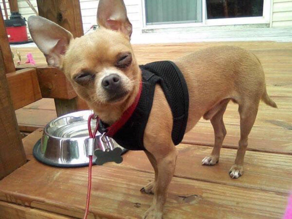 Jprz1321's tweet image. When they can't reply to your text but they still tweeting