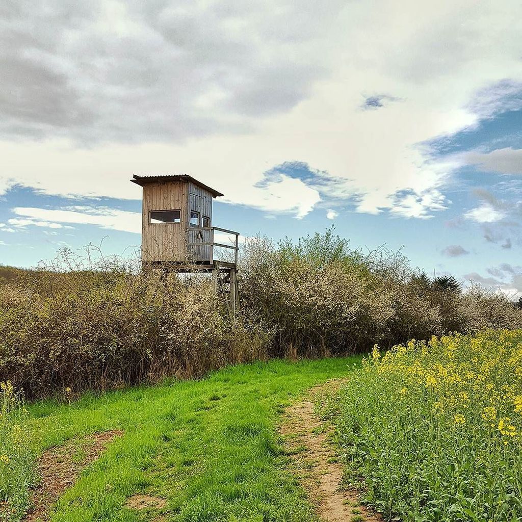 Lightbring3r's tweet image. Neuer Schnappschuss: Comes with a View #Hochsitz #deerstand #sky