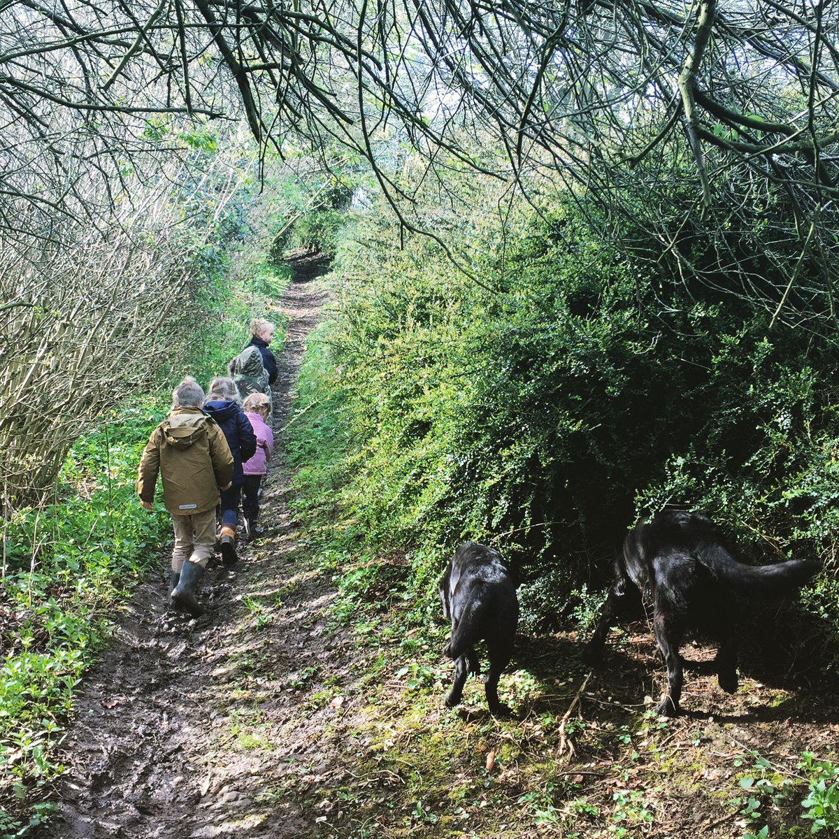 Nothing like a relaxing weekend walk with five children and two dogs...on my own!