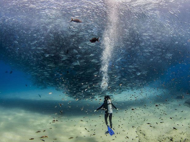 De 20 mooiste natuurfoto's van National Geographic van 2015. bit.ly/1p0POrp