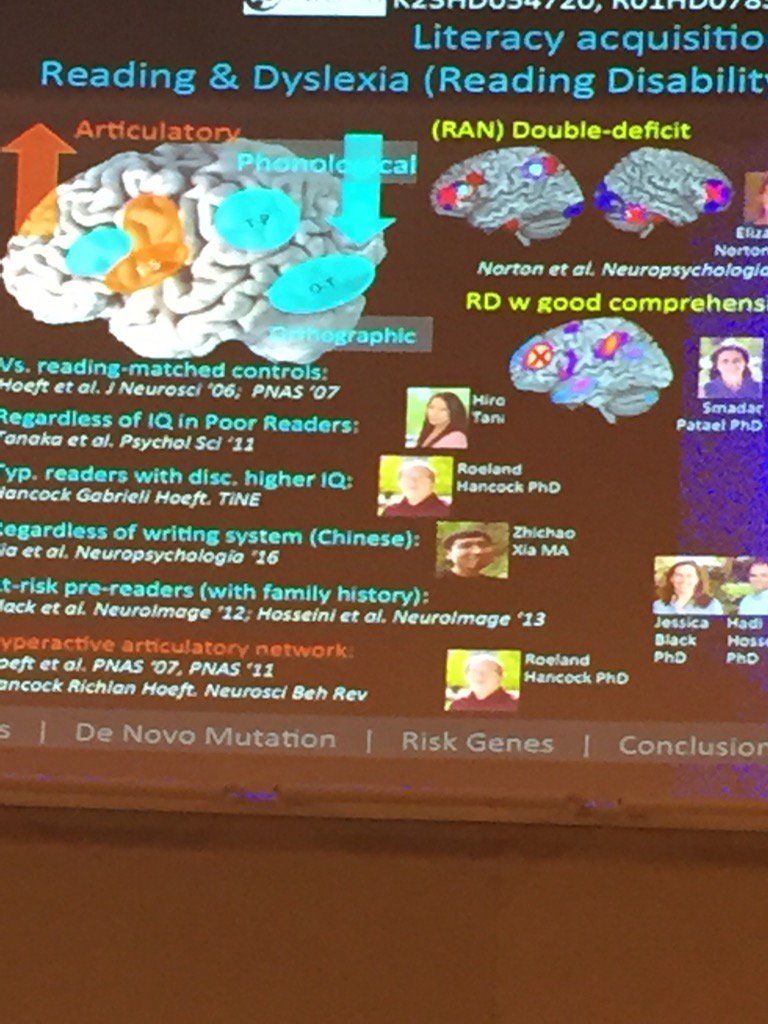 Heather_L_Read's tweet image. @FumikoHoeft at #LanguageFest Brain network changes with reading in dyslexia