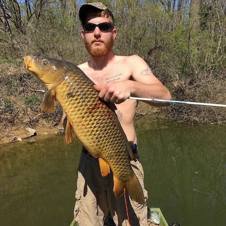 Bowfish247365's tweet photo. Fan Photo Submission by: j_bond777 > The biggest one of the day #bowfishing #amsbowfishing #riverrat #carpkillers https://t.co/CPYiRY4XWZ