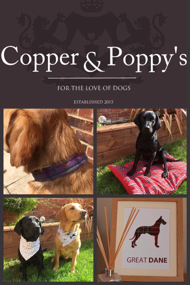 de_grooming's tweet photo. @Copper_Poppys will be at a fair tomorrow. 
They will be promoting Dogs Exclusive Grooming so why not meet the team! https://t.co/ak0Jya7JWP