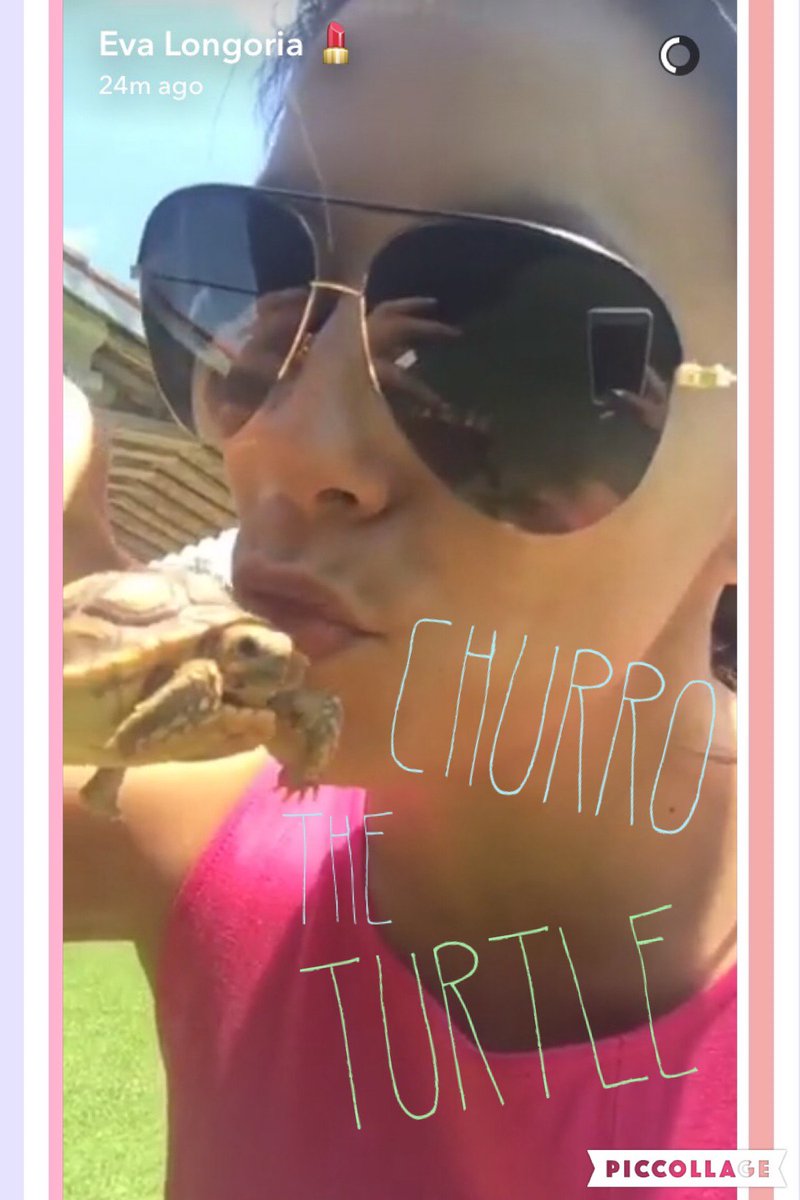 lovevalongoria's tweet photo. @EvaLongoria it'd mean a lot if u named her Churro, that was the name of my turtle before she died 😥💚  #turtlenames https://t.co/gt7pExdVmt