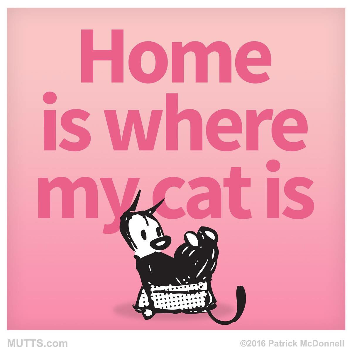 Adopt a cat and make your house a home! #AdoptAPet #cat #catlady