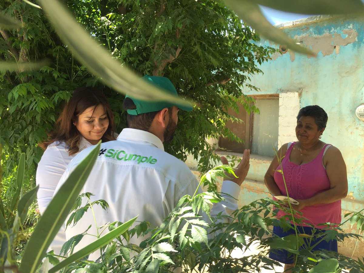 HiramBrahim's tweet photo. Hoy estuve recorriendo la zona rural de Gómez Palacio  #Dtto10 con mi candidata Azalia García #PartidoVerde https://t.co/EbtAkwTgIa