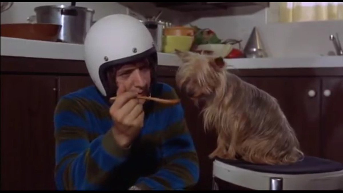 CherStruckGypsy's tweet photo. @cher I just watched Good Times. That little doggie is so cute ❤ (forgot what his name was). Was he really yours? https://t.co/lSjRvMlj3b