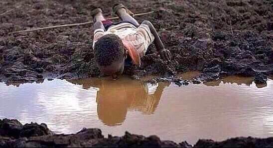isaacBIOvega's tweet photo. Este mundo no necesita más producción sino...
¡más JUSTICIA!
This world needs more JUSTICE! 😿🌍💔
RT 🆘 If YOU AGREE! https://t.co/hQHsRZY3ak