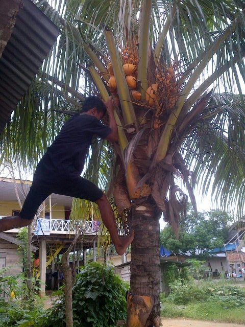 NengBolong's tweet photo. What are you doing @kandarzagoo  ? Do you want to show your talent :D https://t.co/8aiOHdQT2D