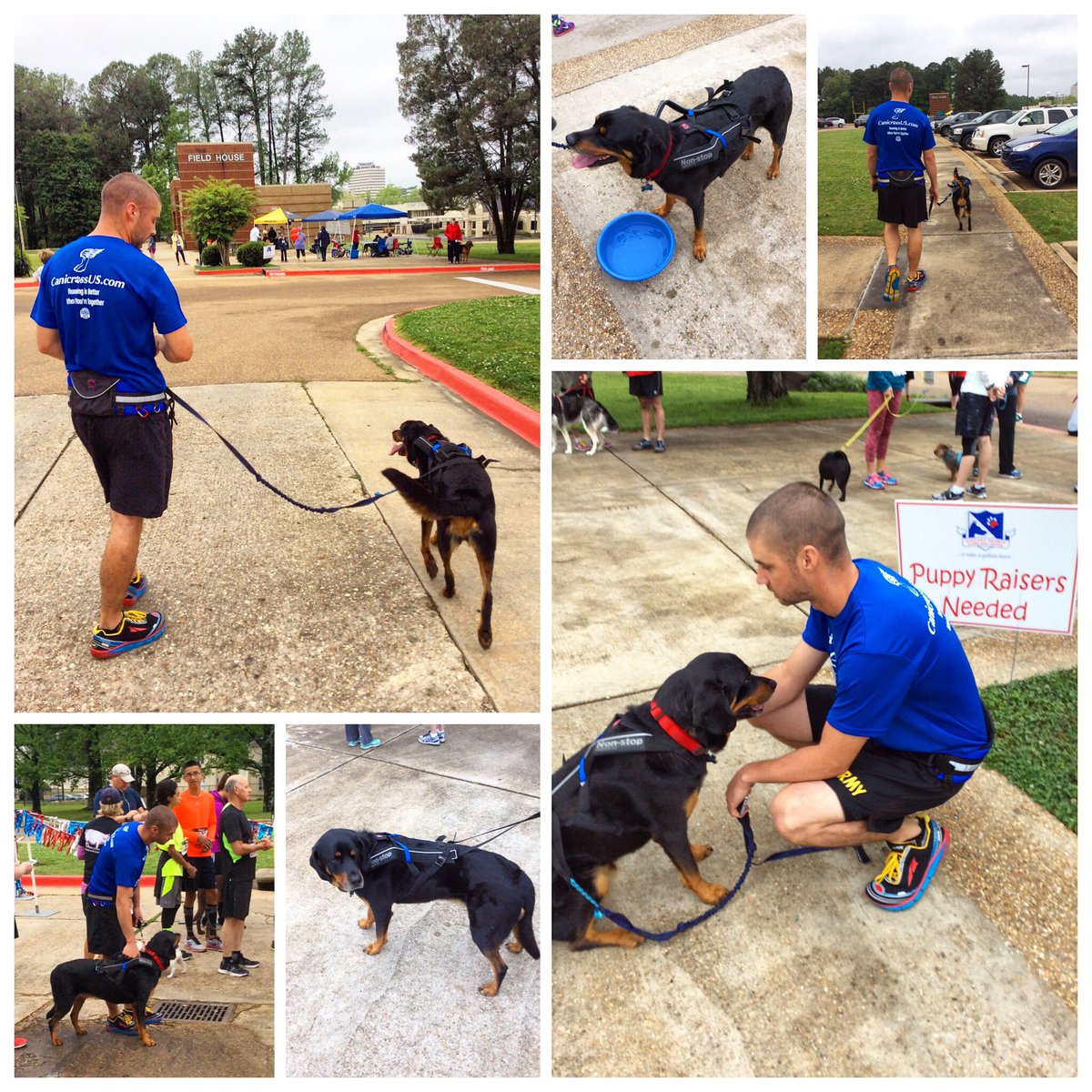 Canicross_US's tweet image. Gallant Hearts Hot Diggity Dog 5k