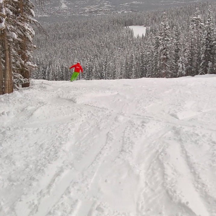 OlgaVigdor's tweet photo. #nationalacademy2016 #ski Winter in spring! https://t.co/a0VrgwTHNe https://t.co/EzPcCg6jIq