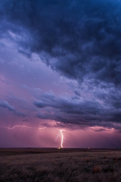 songhues's tweet image. wait for me // kings of leon